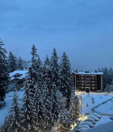 Appartement 4.5 Pieces Crans-montana Lens