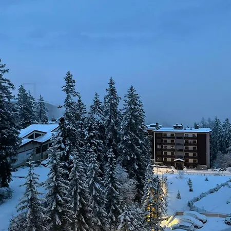 4.5 Pieces Crans-montana 아파트