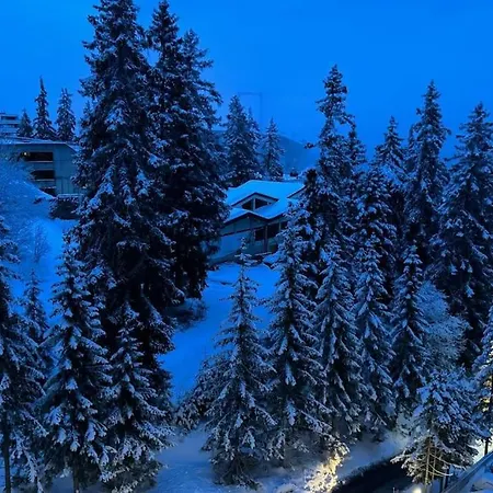 4.5 Pièces Crans-montana Appartement Lens